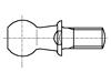 B10/BN486