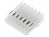CE100F24-6-C-E