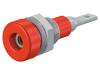 LB-IF2R-M6-22