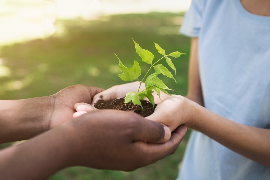 Ethiopia set a Guinness record and fights the climate change by plating 350 million trees in 12 hours!