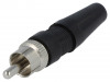 RCA-PLUG