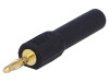 RDA-S4-P2-B