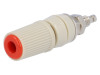 BS-244DSM-R