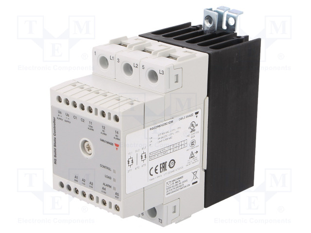 RGC2P60V25C1DM CARLO GAVAZZI