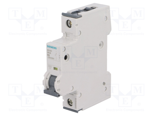 5SY6106-6 SIEMENS