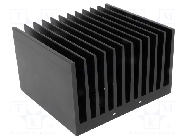 SK 121 100 SA FISCHER ELEKTRONIK