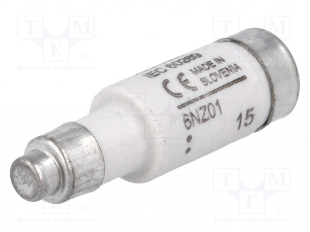 6NZ01 BUSSMANN