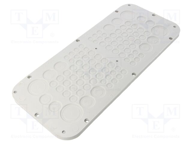 RIT-96-TPE RIT-96-TPE