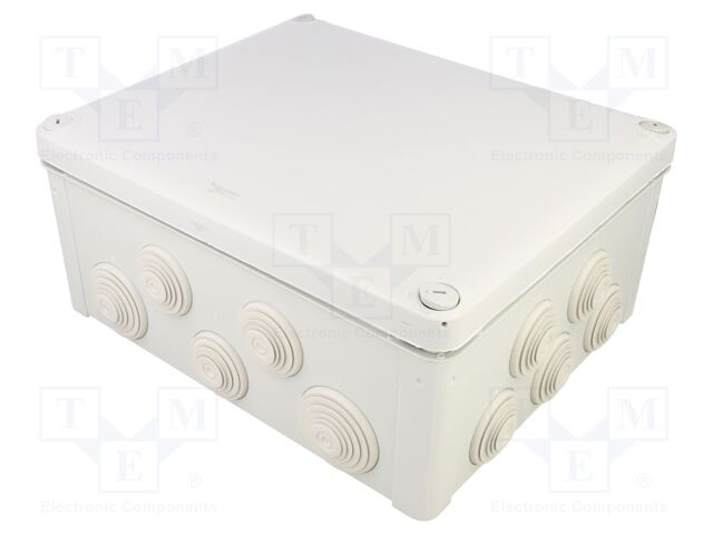 ENN05017 ENN05017