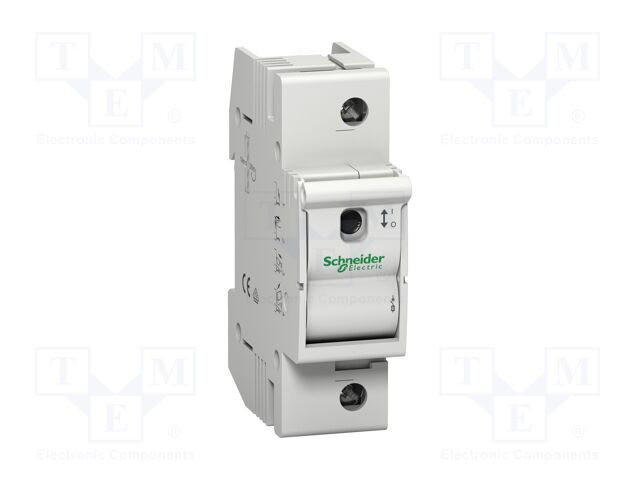 MGN02163 MGN02163