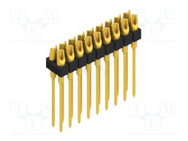 MK21018G MK21018G