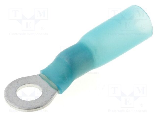 ST-081/B-T ST-081/B-T