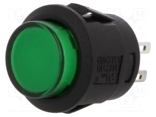 R13-523AL-05-BG-L-1 R13-523AL-05-BG-L-1