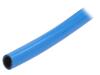 GOL-BLUE-16