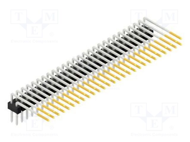 SL415254S SL415254S