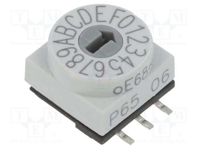 P65SMT106 P65SMT106