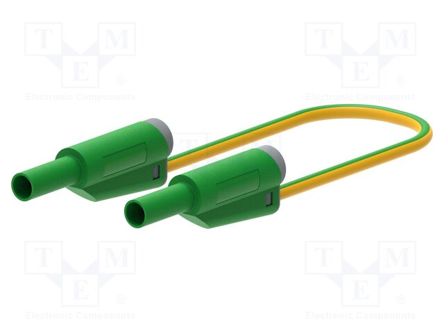 2077-IEC-100 2077-IEC-100