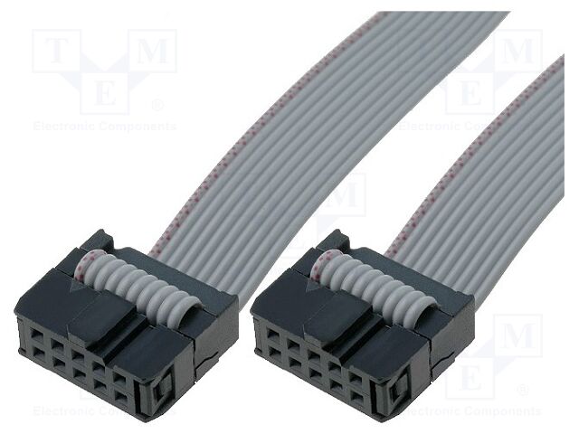 CAB/IDC10FF-100 CAB/IDC10FF-100