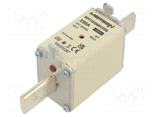 NH1GG69V250 NH1GG69V250