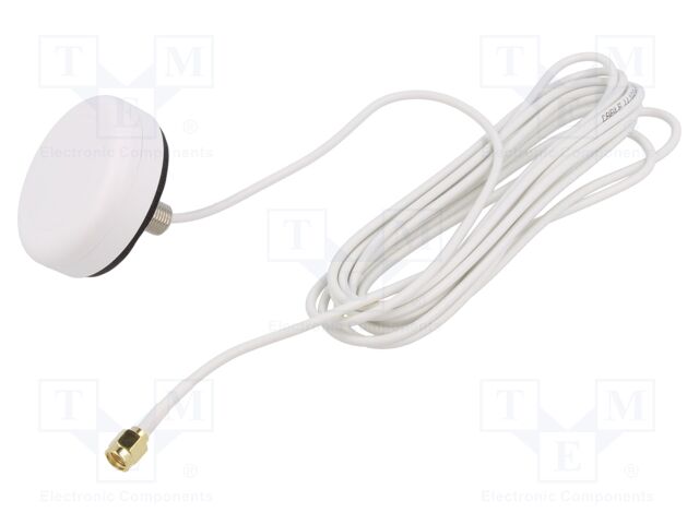 2J4702BW-TH19-300LL100W-C115GWST_CU01037 2J4702BW-TH19-300LL100W-C115GWST_CU01037