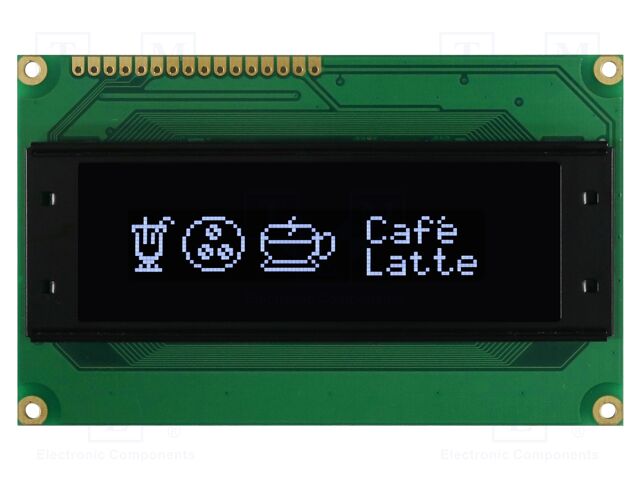 REG010032BWPP5N00100 REG010032BWPP5N00100