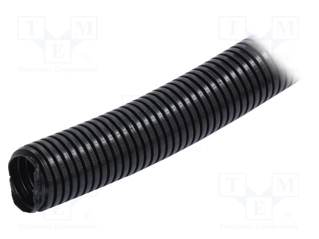 444045 -AS 444045 -AS