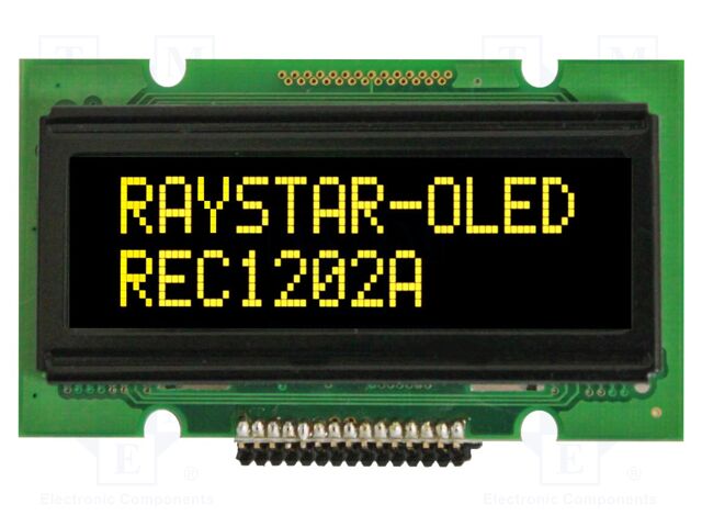 REC001202AYPP5N00100 REC001202AYPP5N00100