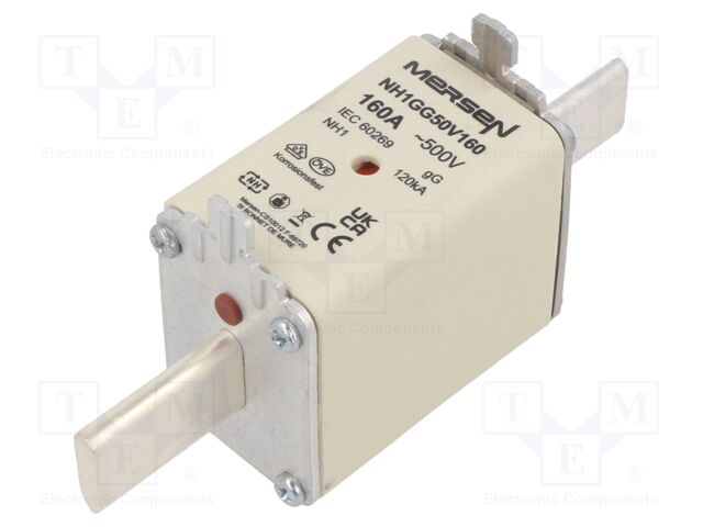 NH1GG50V160 NH1GG50V160