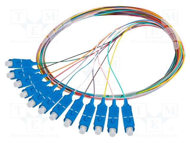 FP-SCUP-SE21-1202-MC FP-SCUP-SE21-1202-MC