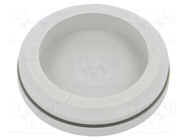 T-RGDM40 RAL 7035 UL94V-0 T-RGDM40 RAL 7035 UL94V-0