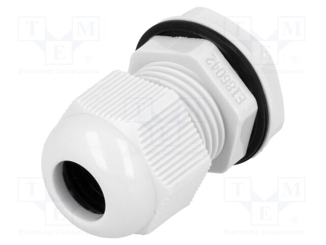 EG-11GY1 EG-11GY1