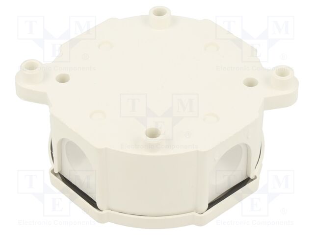 PHB WHITE PHB WHITE