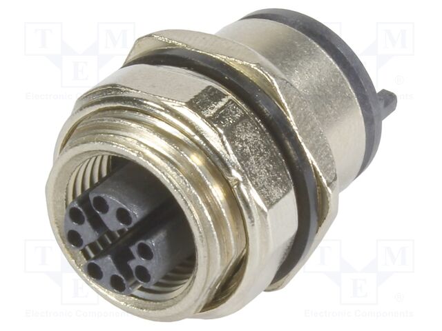 21033812805 21033812805