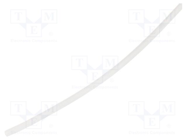 560984P 560984P