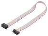 DS1052-102B2NA203001 | Ribbon cable with IDC connectors; 10x28AWG; Cable ph: 1.27mm