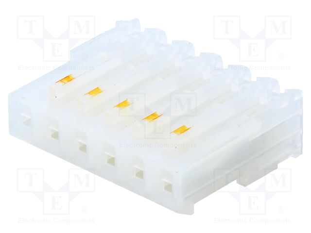 CE156F20-06-C_E CE156F20-06-C_E
