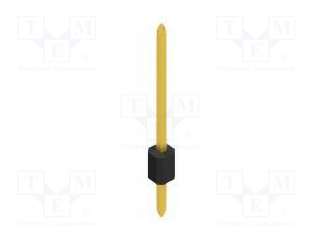 10060119 10060119