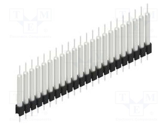 10040881 10040881