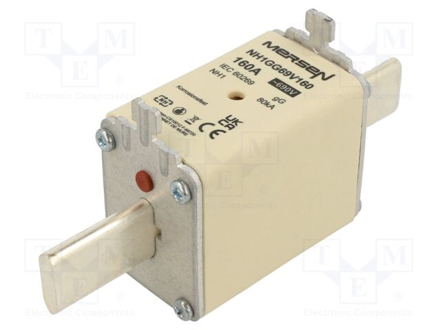 NH1GG69V160 NH1GG69V160