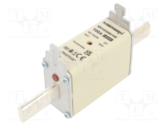 NH1GG69V100 NH1GG69V100