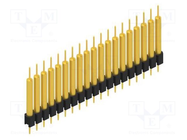 10040874 10040874