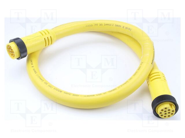 1300120593 1300120593