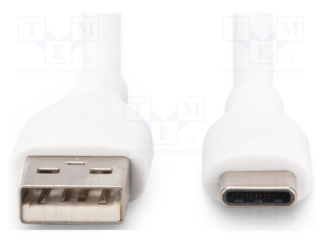 AK-300340-020-W AK-300340-020-W