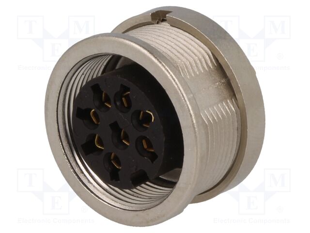 KFV 81 KFV 81