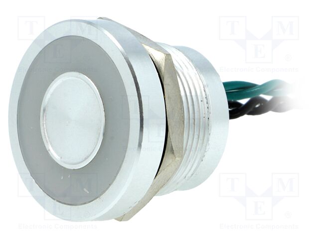 PS225P10Y01/G/24L PS225P10Y01/G/24L