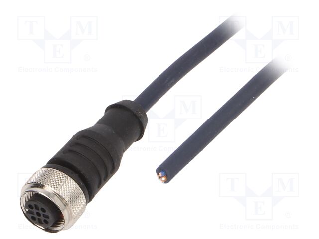 CF.INI-P4-M12-BG-10 CF.INI-P4-M12-BG-10