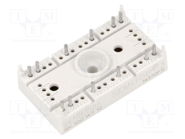 SK 100 WT 12 24910640 SK 100 WT 12 24910640