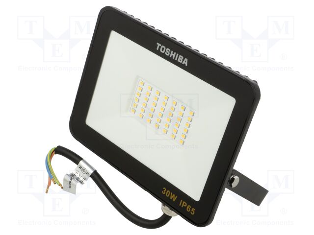 DELL-FL44030C5A011 DELL-FL44030C5A011