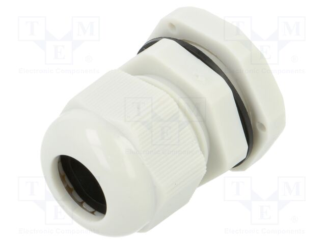 ZCG PG13.5-12J PA66 ZCG PG13.5-12J PA66
