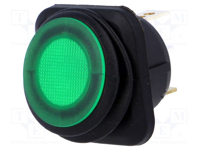 R13-203B84-01-BGGN5 R13-203B84-01-BGGN5